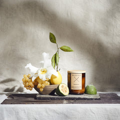LEMONADE FRUIT