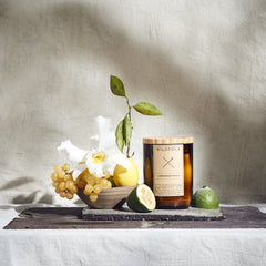 LEMONADE FRUIT